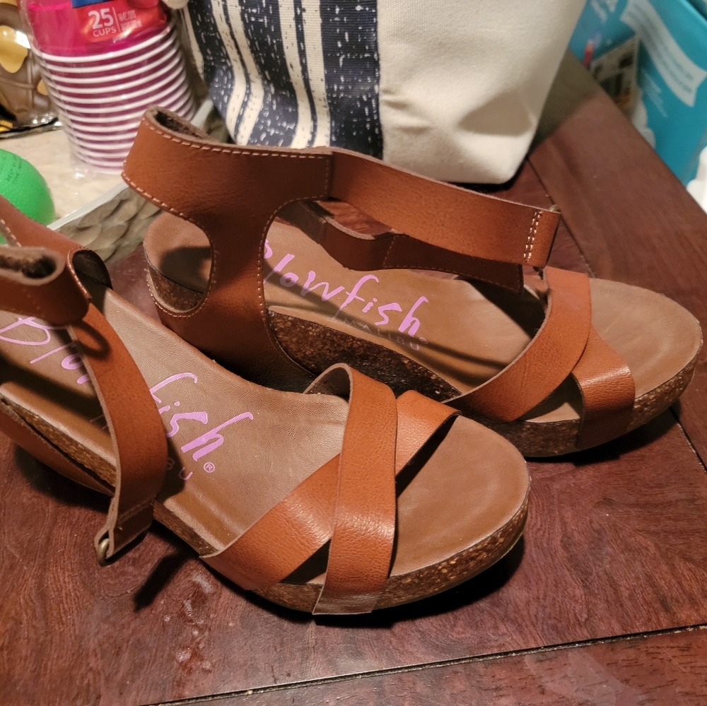 Blowfish Wedges